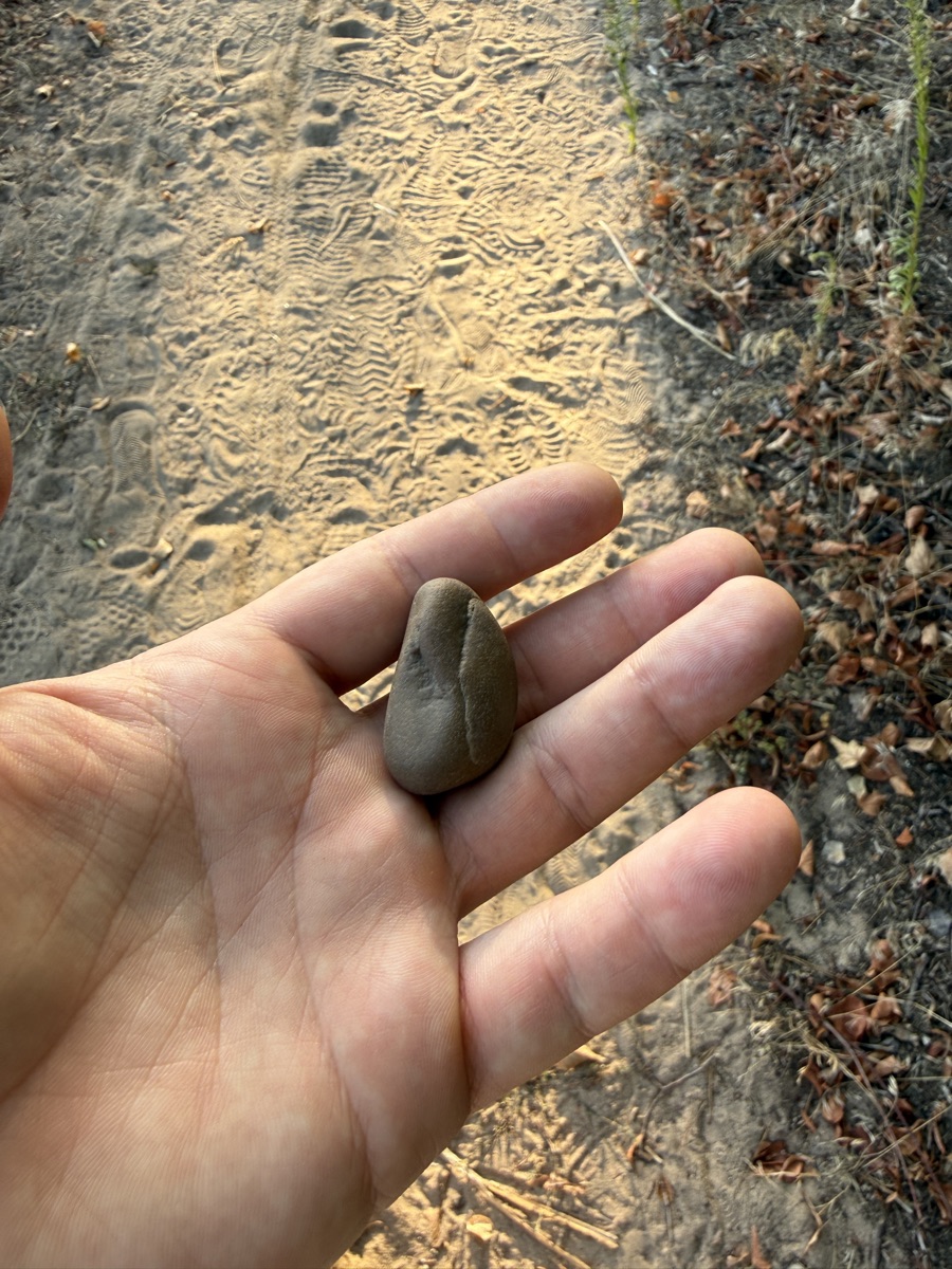 Der Stein vom Waldweg in meiner Hand