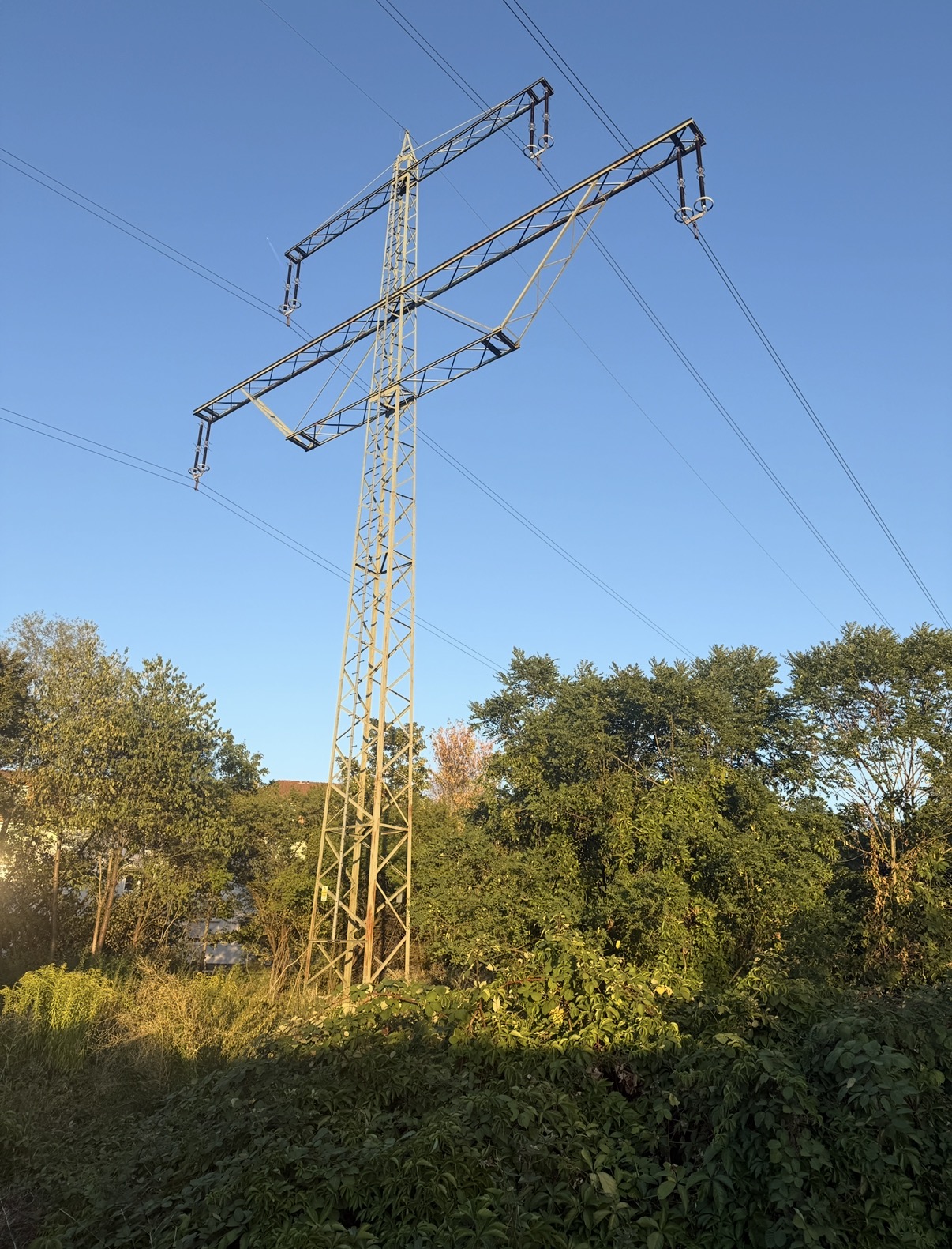Ein Strommast zwischen Sträuchern, oben laufen mehrere Leitungen nach beiden Seiten weg.